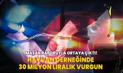 MASAK raporuyla ortaya çıktı! Hayvan derneğinde 30 milyon liralık vurgun