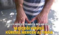 M çiçeği virüsü küresel mercek altında