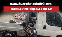 Daha önce böylesi görülmedi! Canlarını hiçe saydılar