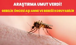 Araştırma umut verdi! Gebelik öncesi aşı anne ve bebeği koruyabilir