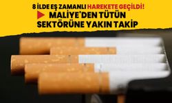 Maliye'den tütün sektörüne yakın takip! 8 ilde eş zamanlı harekete geçildi