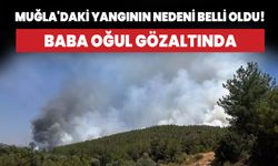 Muğla'nın Yatağan ilçesindeki yangının nedeni belli oldu! 2 gözaltı