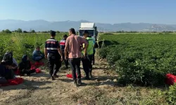 Küçük çocuk kamyonun altında kaldı, şoför yakınları tarafından vurularak öldürüldü