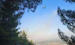 Hatay'da çıkan orman yangını kontrol altında