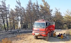 Milas ilçesinde çıkan orman yangını kontrol altında