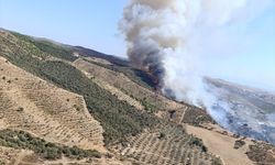 İzmir'de makilik alanda yangın