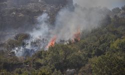 Mersin'de çıkan orman yangını kontrol altında