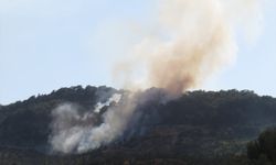 Çanakkale'nin Ayvacık ilçesindeki orman yangını