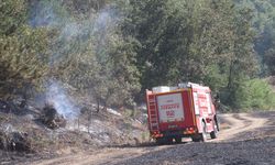 Samsun'da yangın 150 dekar alanda etkili oldu