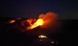 Çanakkale'nin Eceabat ilçesindeki orman yangınına müdahale ediliyor