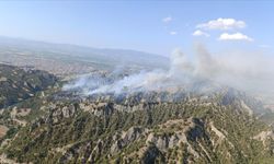 Salihli ilçesindeki orman yangınına sürüyor