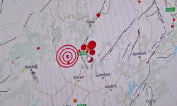 Uzmanlardan Adana'da meydana gelen depremler sonrası önemli uyarı