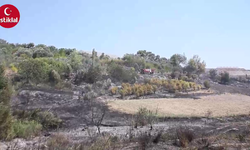 Antalya'da çıkan yangın söndürüldü