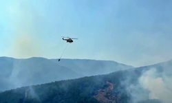 Karabük'te orman yangını kontrol altında