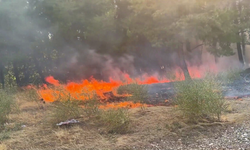 Kahramanmaraş'ta orman yangını