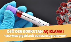 DSÖ uyardı! "Maymun Çiçeği acil durum oluşturuyor"