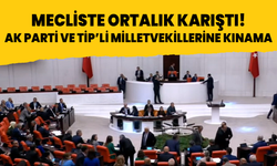 TBMM'de ortalık karıştı! AK Parti ve TİP'li Milletvekillerine kınama