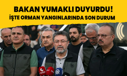 Bakan Yumaklı orman yangınlarındaki son durumu aktardı