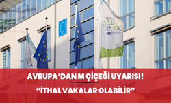 Avrupa'dan M çiçeği uyarısı! "İthal vakalar olabilir"