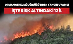 Orman Genel Müdürlüğü'nden yangın uyarısı! İşte risk altındaki 12 il