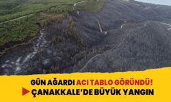 Gün ağardı acı tablo göründü! Çanakkale'de büyük yangın