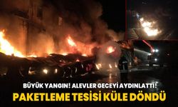 Mersin'de büyük yangın! Paketleme tesisi küle döndü