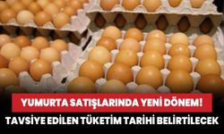 Yumurta satışlarında yeni dönem! Tavsiye edilen tüketim tarihi belirtilecek