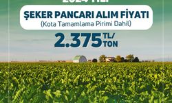 Tarım ve Orman Bakanlığı, 2024 yılı şeker pancarı alım fiyatını açıkladı