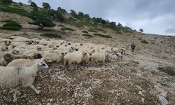 Amasya'da yaylacıların dönüş serüveni başladı