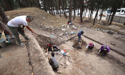 Yumuktepe Höyüğü'nde 9 bin yıllık buğday türü tespit edildi