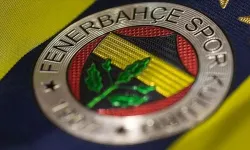 Fenerbahçe’de istenilmeyen futbolcu Hull City’ye gidiyor