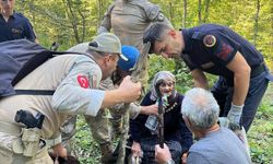 Mantar toplarken kaybolan kadın ormanda bulundu