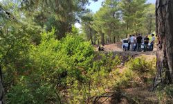 Muğla'da ormanda terk edilmiş bebek bulundu