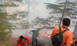 Kumluca’daki orman yangınında son durum