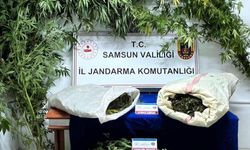 Samsun'da jandarma kubar esrar ele geçirdi