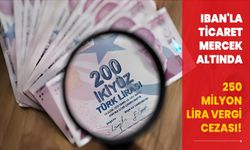 IBAN'la ticaret mercek altında: 250 milyon lira vergi cezası