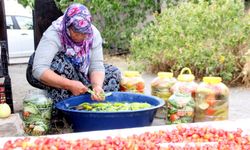 Erzincan’da kadınların turşu mesaisi sürüyor