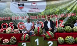 Karpuz şampiyonu belli oldu, tam 48 kilo 700 gram