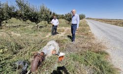 Kuyulardan tuzlu su çıktı: Çiftçiler tedirgin!