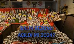 Balık sezonu açıldı mı, ne zaman açılacak 2024? Balık avı sezonu ne zaman açılacak?