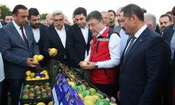 Bakan Yumaklı, Hatay'da önce narenciye hasat sezonunu başlattı, ardından açılışa katıldı