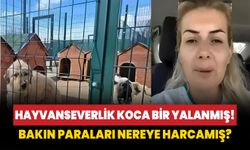 Köpekler için toplanan paralar at yarışına yatırılmış!