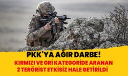 PKK'ya ağır darbe! Kırmızı ve gri kategoride aranan 2 terörist etkisiz hale getirildi