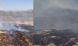 Elazığ’da otluk alanda korkutan yangın