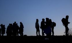 Van’da göçmen kaçakçılığına darbe! 66 göçmen yakalandı, 16 organizatör tutuklandı