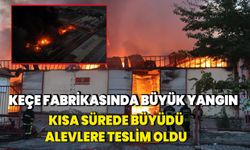 Keçe fabrikasında büyük yangın: Alevlere teslim oldu