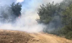 Adana'da ormanlık alanda yangın çıktığı duyuruldu