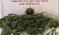 Samsun'da polisler bin 248 gram esrar ele geçirdi