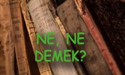 Baş başa vermeyince taş yerinden kalkmaz ATASÖZÜ! Baş başa vermeyince taş yerinden kalkmaz ne demek?