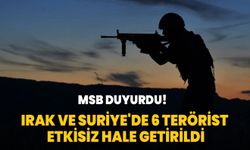 Irak ve Suriye'de 6 terörist etkisiz hale getirildi